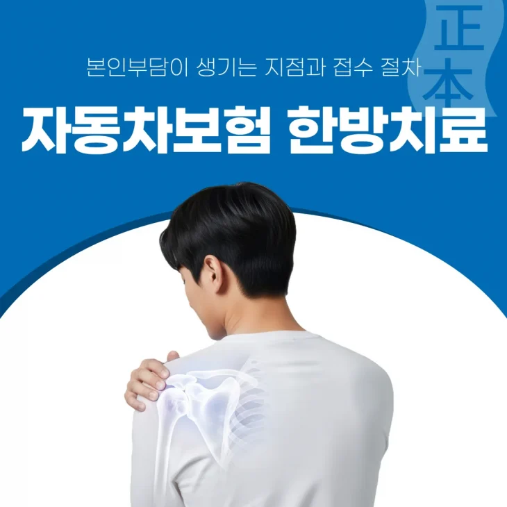 자동차보험 한방치료, 본인부담이 생기는 지점과 접수 절차