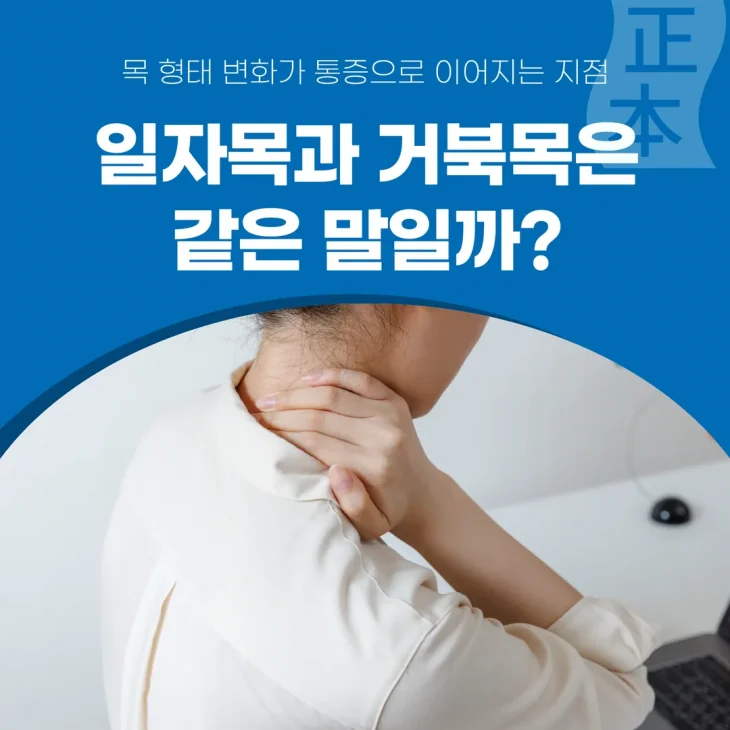 일자목과 거북목은 같은 말일까 — 목 형태 변화가 통증으로 이어지는 지점