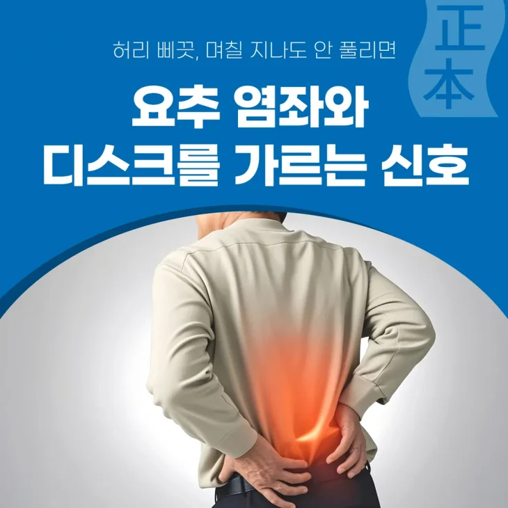 허리 삐끗, 며칠 지나도 안 풀리면 — 요추 염좌와 디스크를 가르는 신호