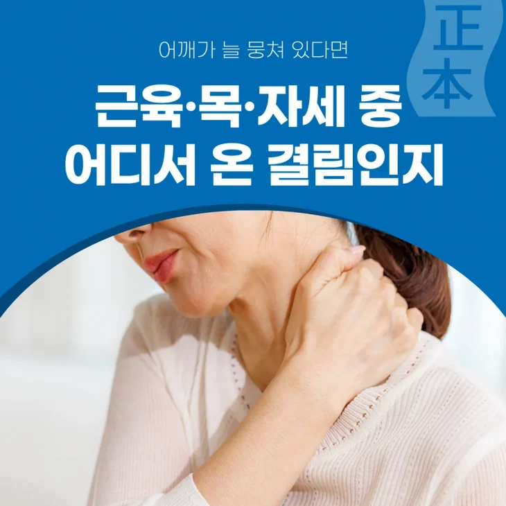 어깨가 늘 뭉쳐 있다면 — 근육·목·자세 중 어디서 온 결림인지
